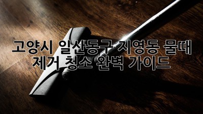 고양시 일산동구 지영동 물때 제거 청소 완벽 가이드