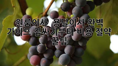 원룸이사 🚚 용달이사 완벽 가이드: 짐싸기부터 비용 절약 꿀팁🍯